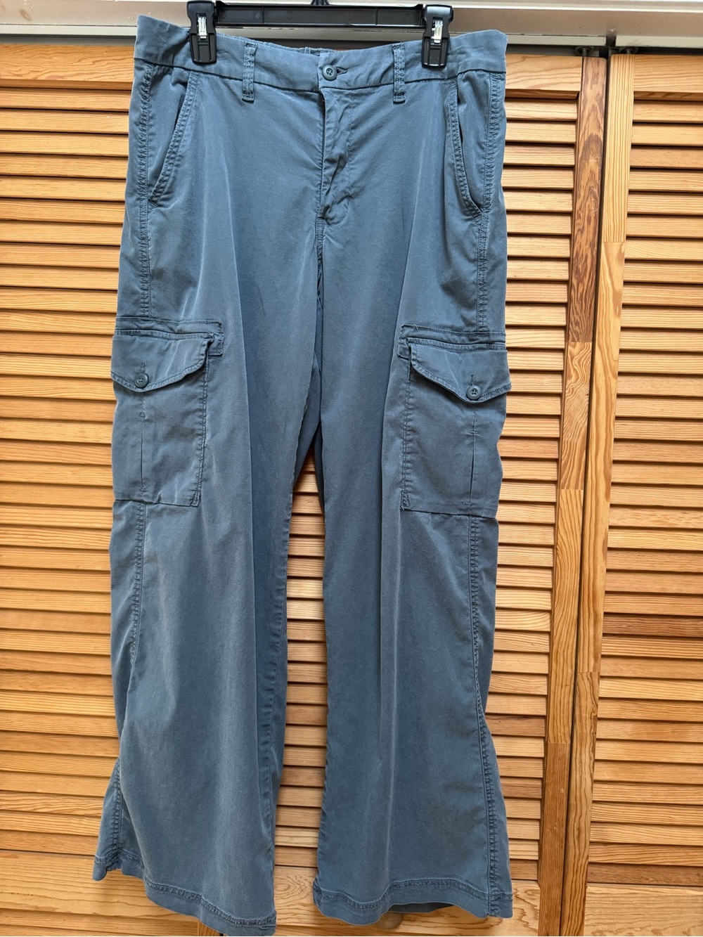 American Eagle Wide-Leg Cargo Pants Size 12 Long Gorpcore 90’s Aesthetic